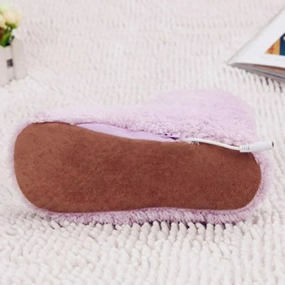 Electric Heating Shoes